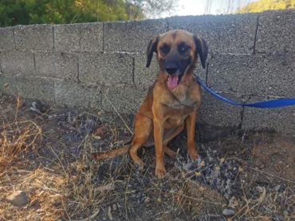 💜🌺 SONJA 🌺 - HABE ICH EINE CHANCE?