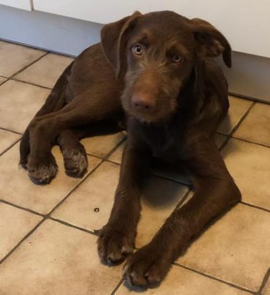 Winnie wartet auf seine Familie