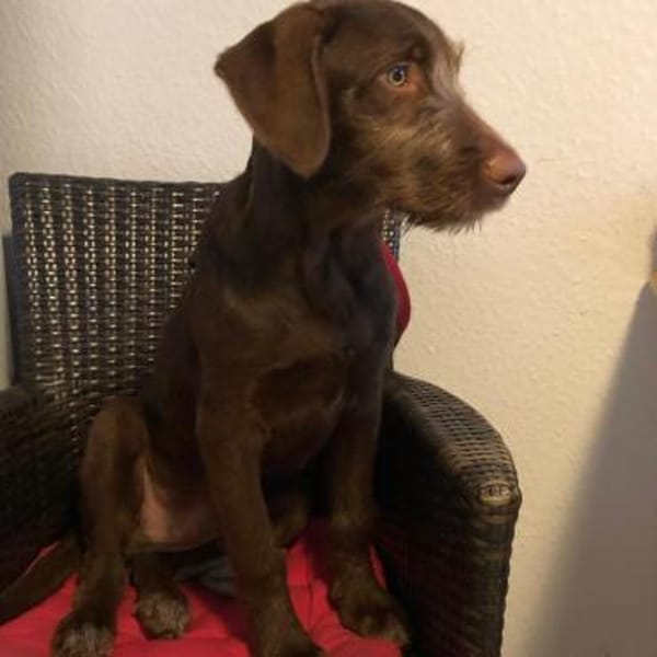 Winnie wartet auf seine Familie