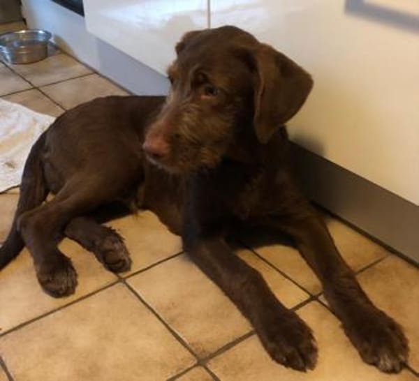 Winnie wartet auf seine Familie