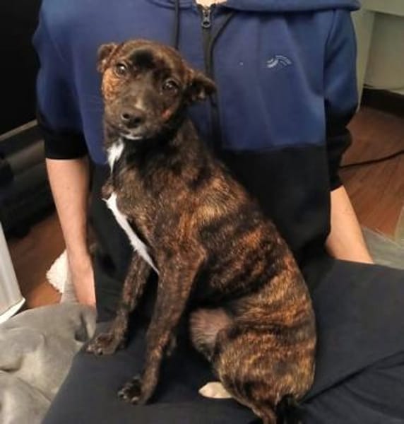 Nani3 sucht ein Zuhause