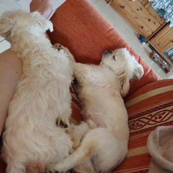 PACO - zutraulich & aufgeschlossen