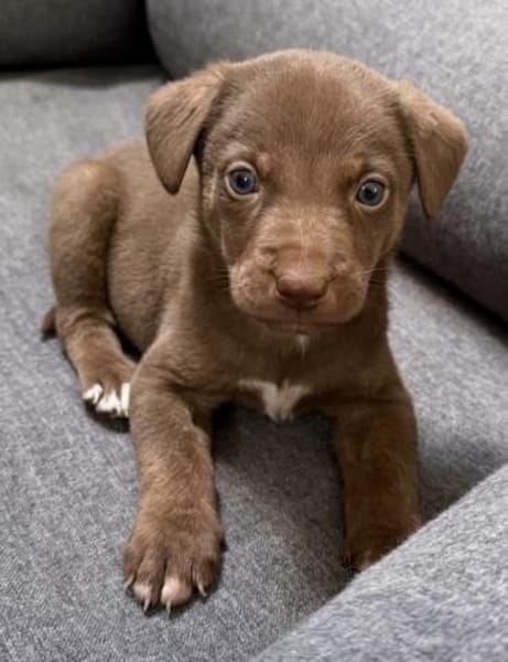 Lilo und Stich / in 82284