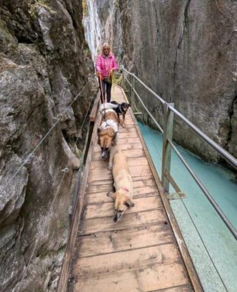 Juro- auf PS in 91207 Lauf