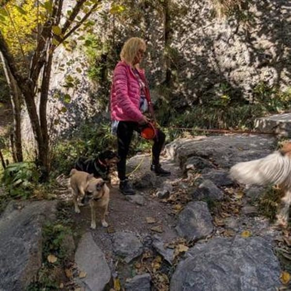 Juro- auf PS in 91207 Lauf