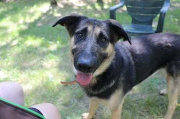 Milow, ruhig und wachsam