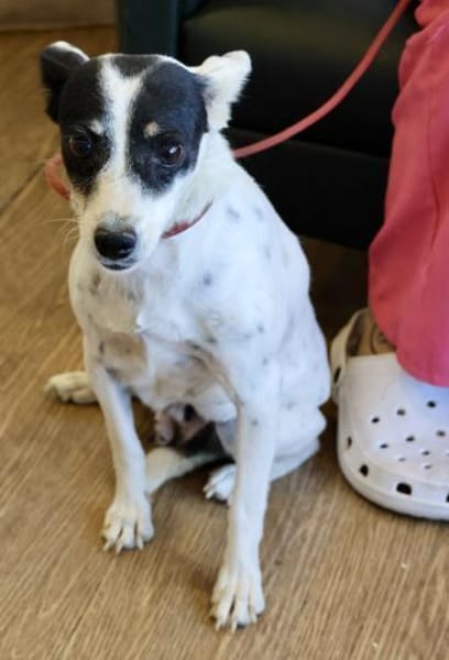 Marion, lernwillig, freundlich, aktiv