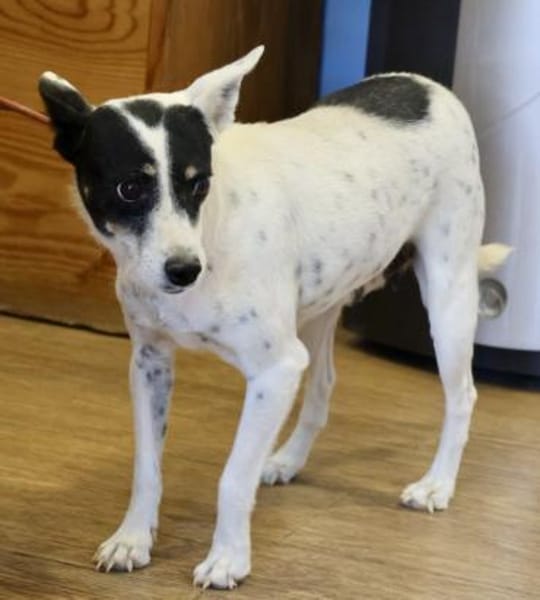 Marion, lernwillig, freundlich, aktiv