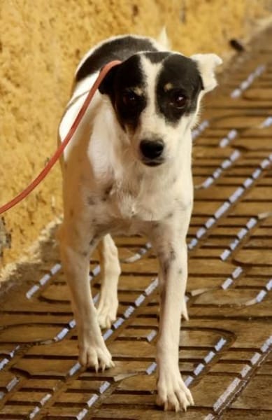 Marion, lernwillig, freundlich, aktiv