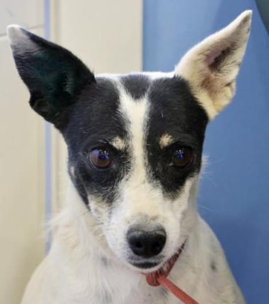 Marion, lernwillig, freundlich, aktiv