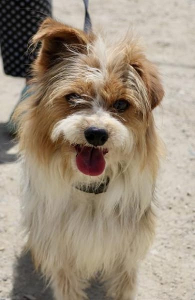 Bony, freundlich, verträglich, offen