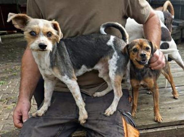 Bony, freundlich, verträglich, offen