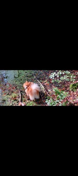 Nari sucht Familie ❤