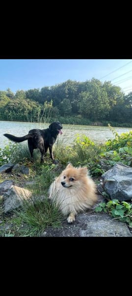 Nari sucht Familie ❤