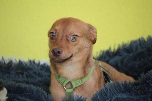 Hallo zusammen! Ich bin Amaro!