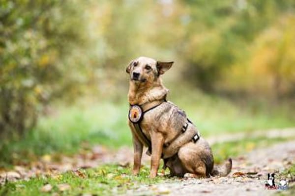 Wer zeigt Nice, wie schön das Leben ist?