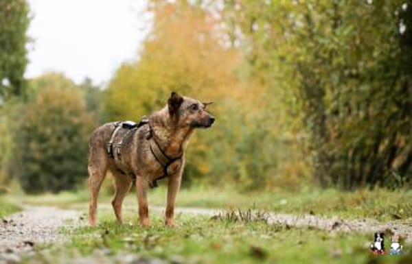 Wer zeigt Nice, wie schön das Leben ist?