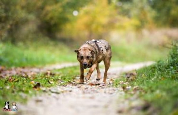 Wer zeigt Nice, wie schön das Leben ist?