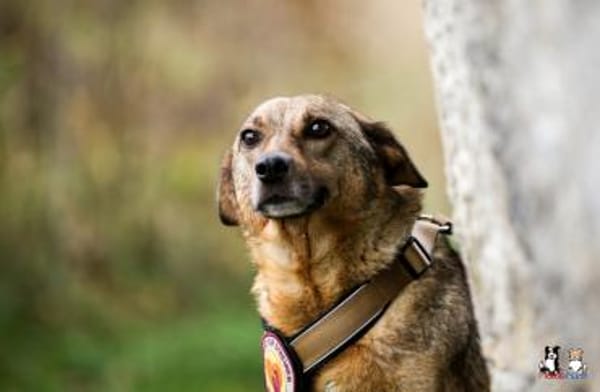 Wer zeigt Nice, wie schön das Leben ist?