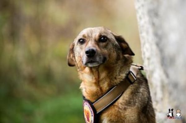 Wer zeigt Nice, wie schön das Leben ist?