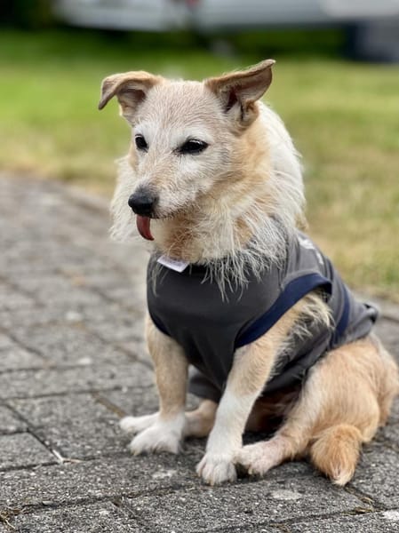 Lotta - Sonnenschein mit Herz