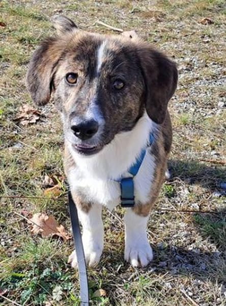 Kleine IANA sucht ihr Glück.