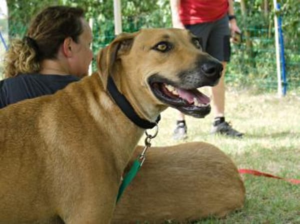 Jazmine, freundlich, verträglich