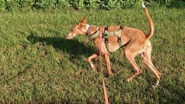 Xenon - fröhlich und sozial