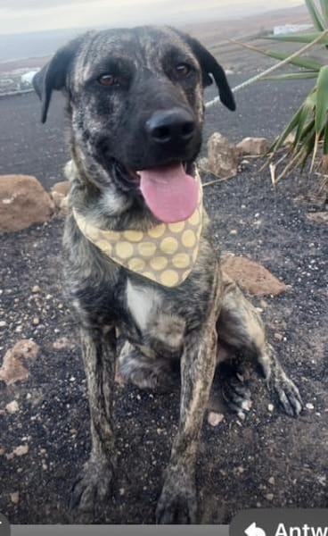 Nando der Charmeur / 82284