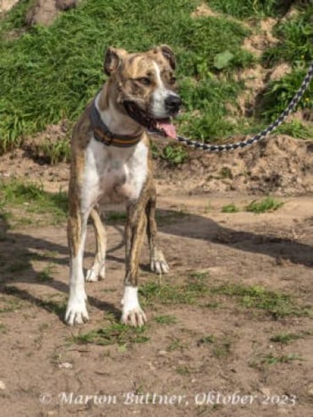 Don Camillo sucht souveräne Menschen