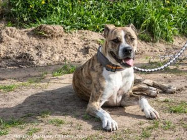Don Camillo sucht souveräne Menschen
