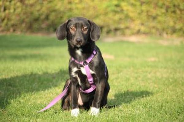 Hallo zusammen! Ich bin Quila!