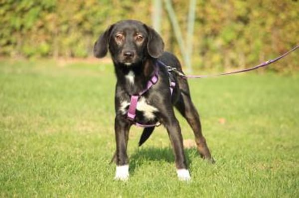 Hallo zusammen! Ich bin Quila!