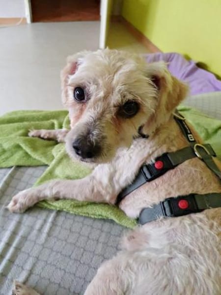 Batman, verspielt, neugierig, offen