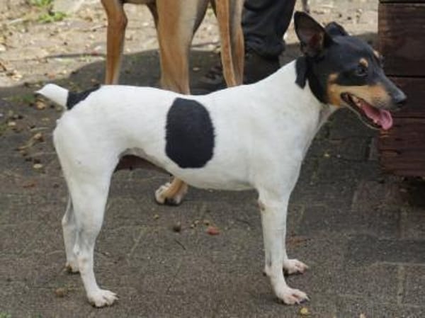 Ahtenea, neugierig, offen, freundlich