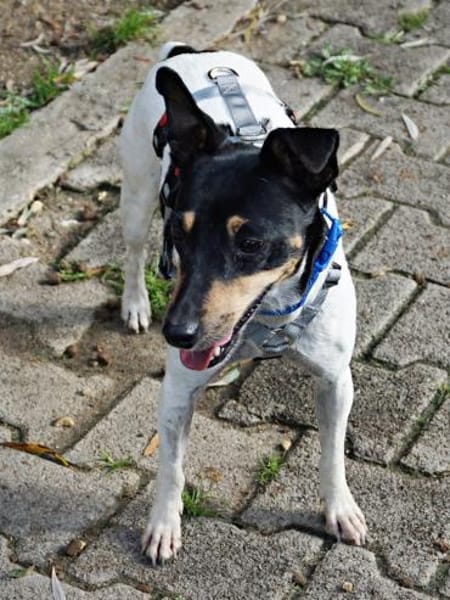 Ahtenea, neugierig, offen, freundlich