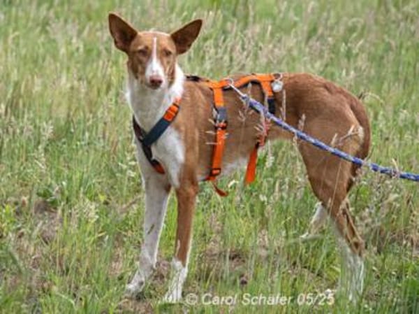 Sally ist ruhig und zurückhaltend