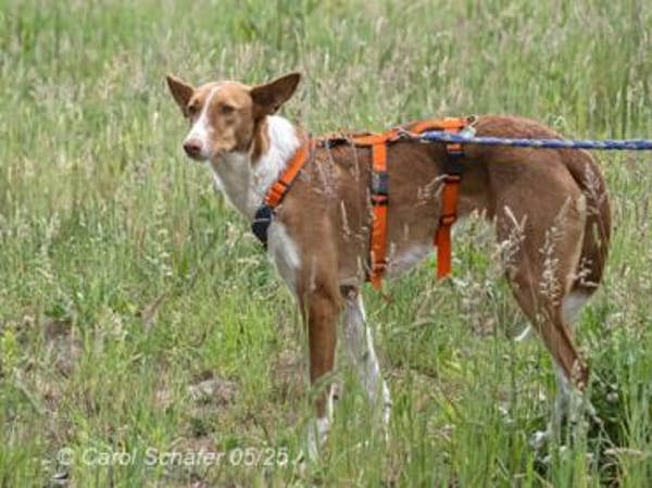 Sally ist ruhig und zurückhaltend