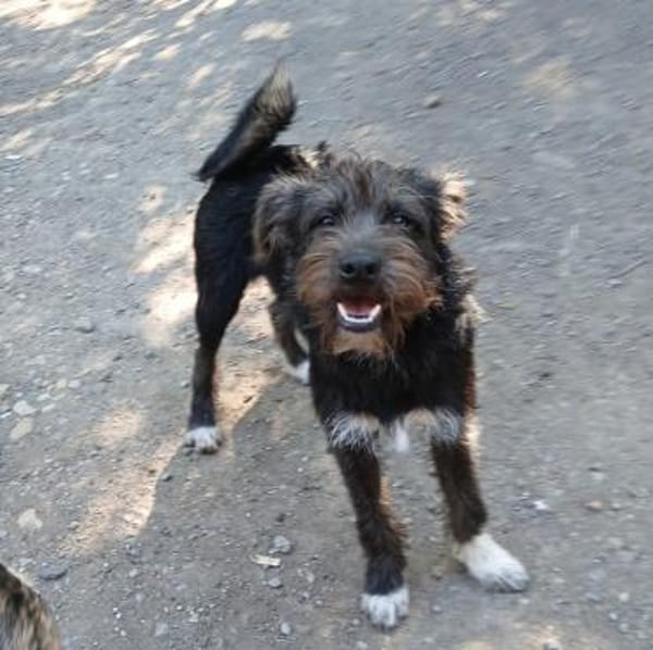 Carol möchte reisen