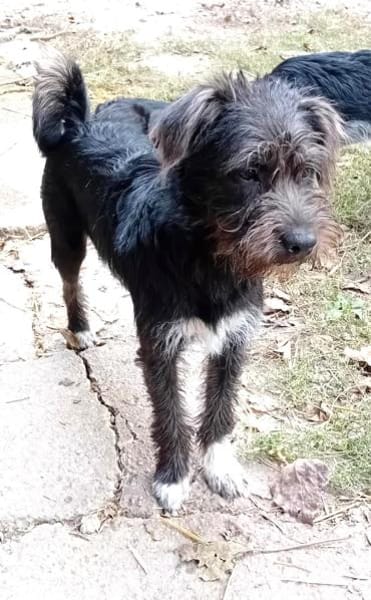 Carol möchte reisen