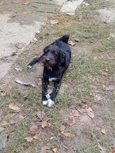 Carol möchte reisen