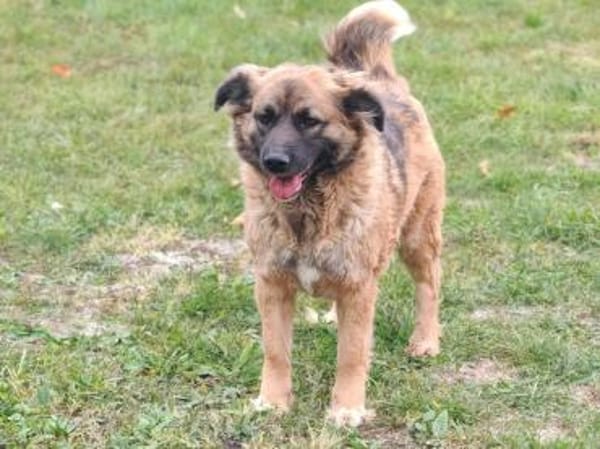 Ani sucht ihre Familie