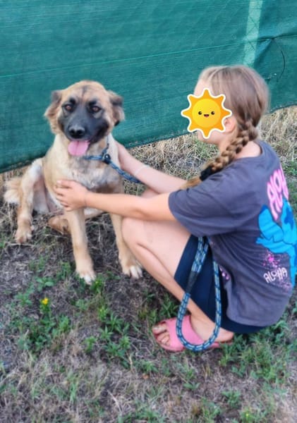 Ani sucht ihre Familie