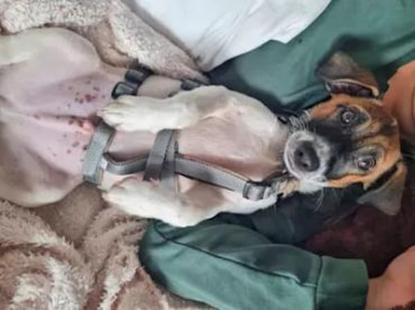 PADU - 7 aus dem Fischernetz