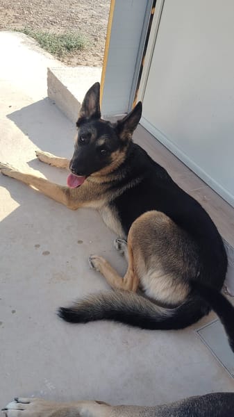 LULU (Rescate)