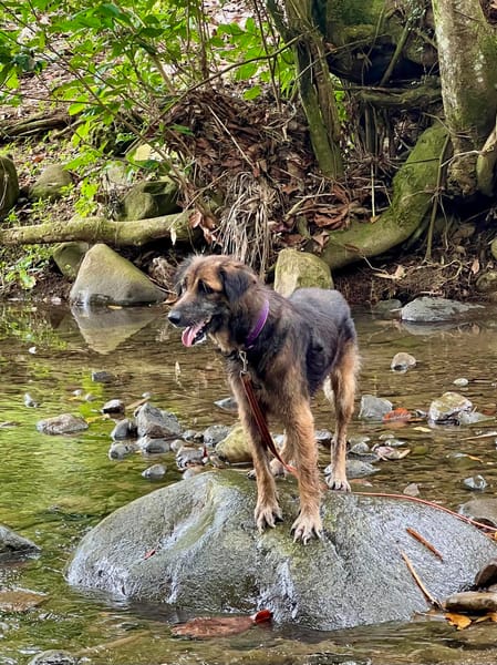 Bobby, attend toujours sa famille