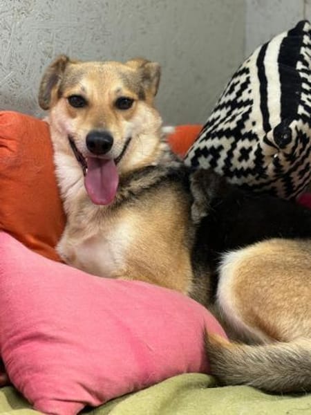 Die sanfte Nami sucht ihre Menschen