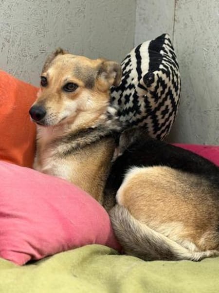 Die sanfte Nami sucht ihre Menschen