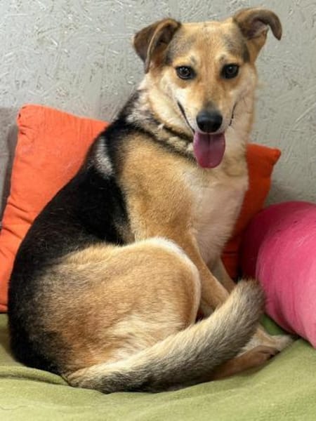 Die sanfte Nami sucht ihre Menschen