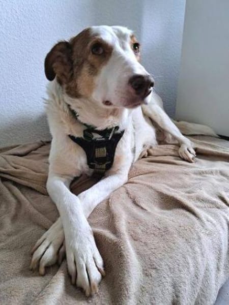 HELEN, lieb und sanft